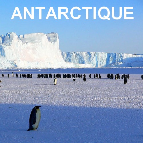 Viaje Antarctica